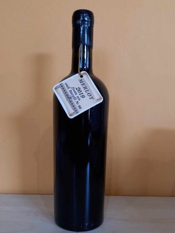 Vítěz degustace Merlot oak 2019 Starosel